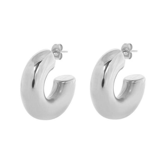 A Heavy Load - Earrings